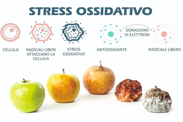 Esame stress assidativo