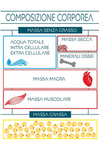 Studio composizione corporea